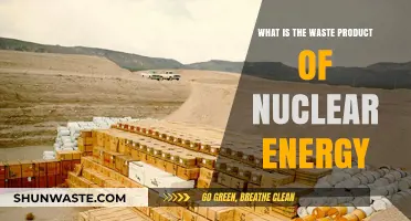 Nuclear Energy's Hidden Cost: Understanding Its Waste Byproducts and Impact