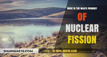 Understanding Nuclear Fission: Identifying Its Primary Waste Byproducts