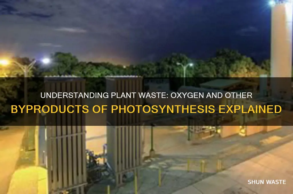 what is the waste product of plants