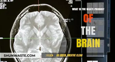 Unveiling the Brain's Waste: Understanding Cerebral Byproducts and Their Impact