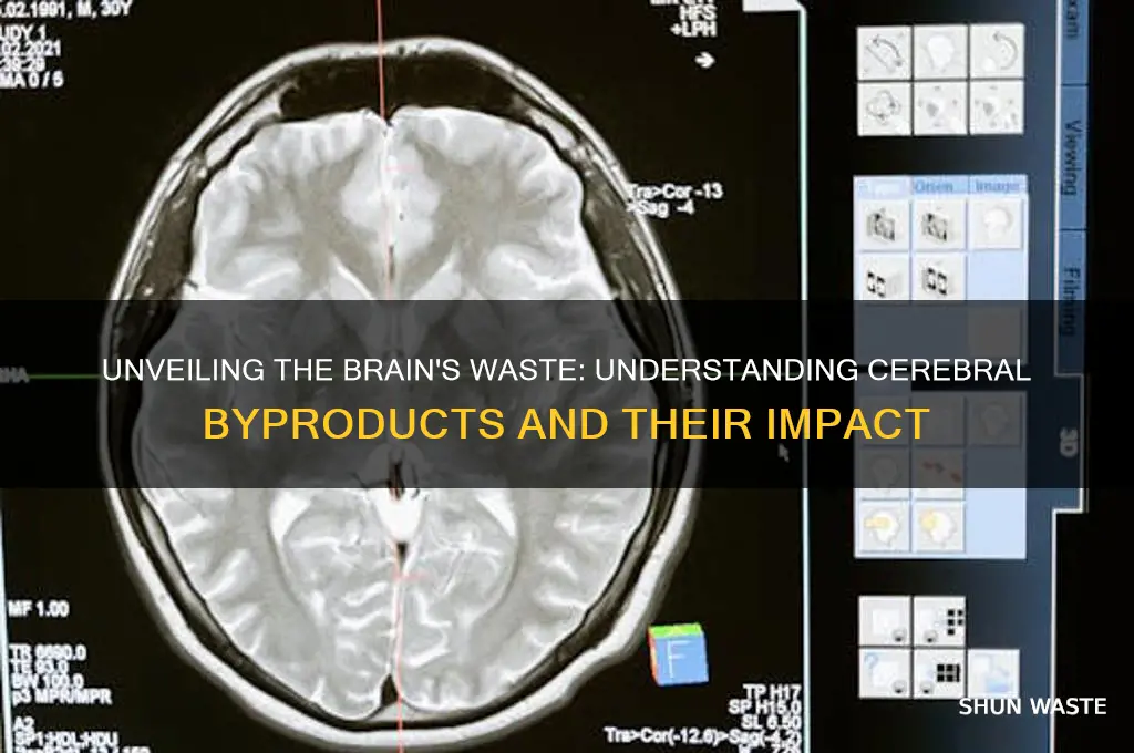 what is the waste product of the brain