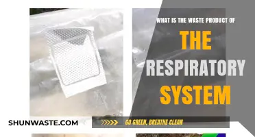 Understanding the Respiratory System's Waste: Carbon Dioxide Explained