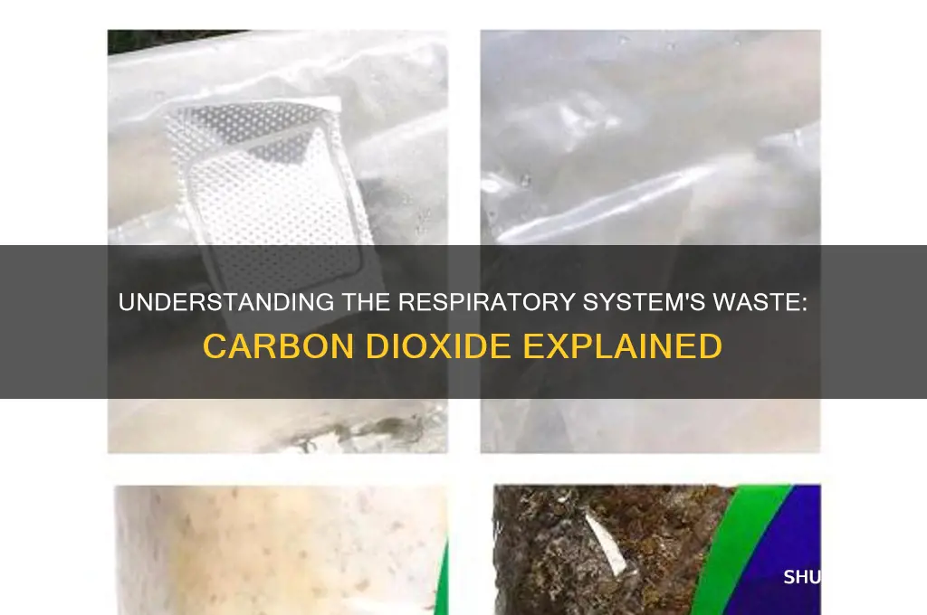 what is the waste product of the respiratory system