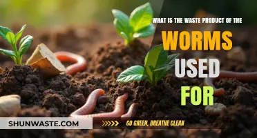 Worm Waste Wonders: Discover Vermicompost's Benefits for Soil and Plants