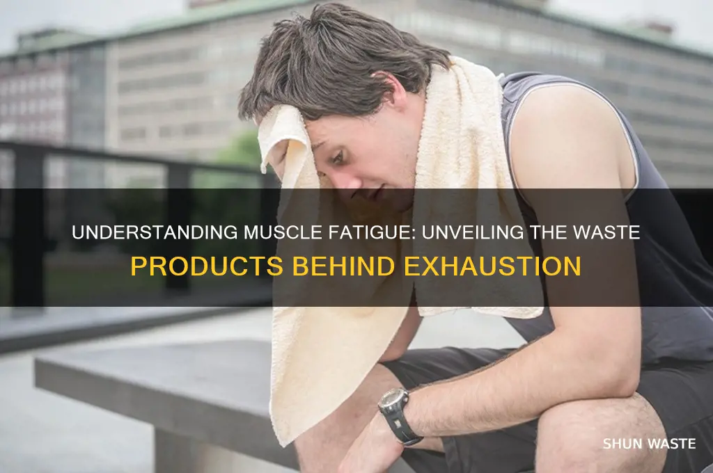 what is the waste product of this muscle fatigue