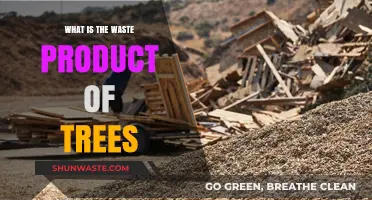 Tree Waste Products: Understanding Nature's Byproducts and Their Impact
