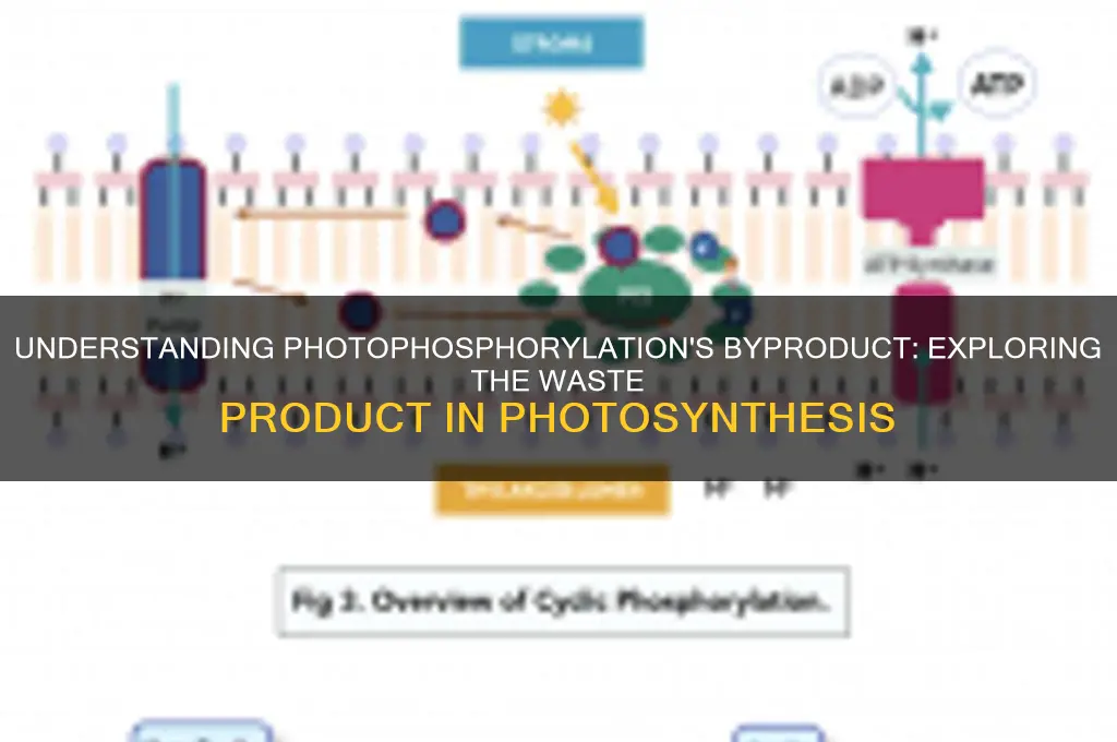 what is the waste product or photophosphorilation