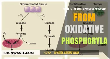 Oxidative Phosphorylation's Waste Product: Unveiling the Role of Carbon Dioxide
