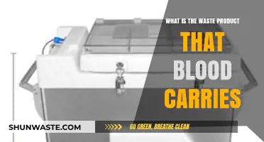 Understanding Blood's Role in Transporting and Eliminating Waste Products