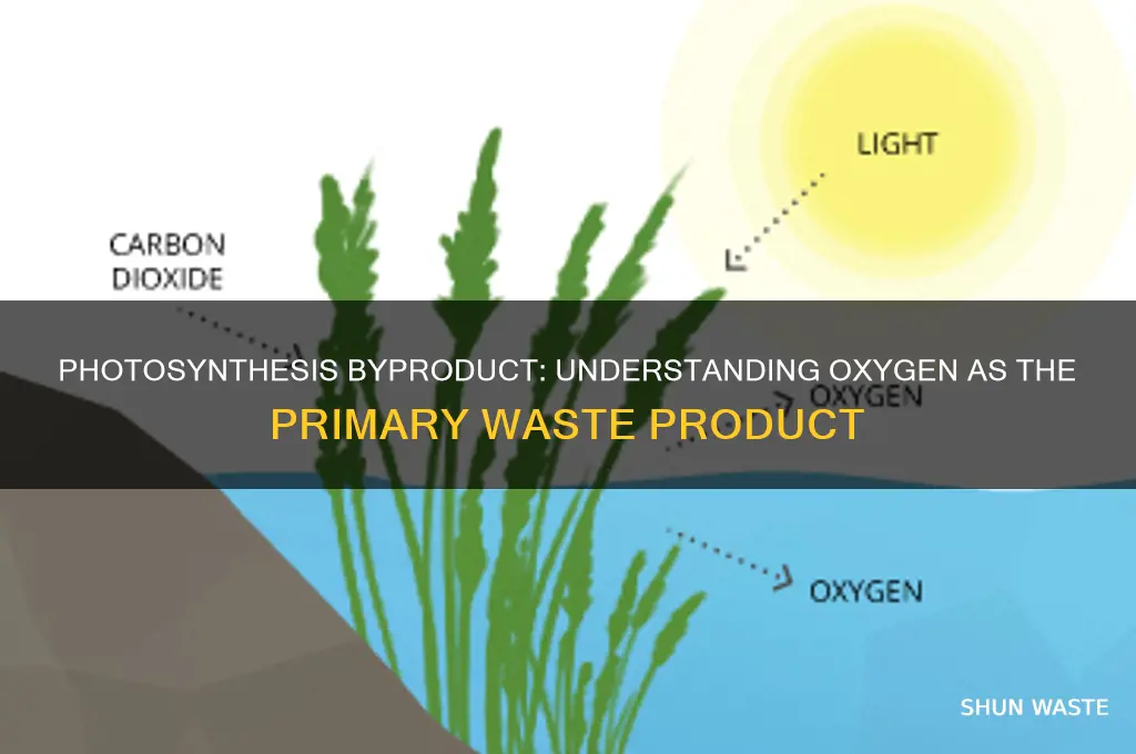 what is the waste product that results from photosynthesis