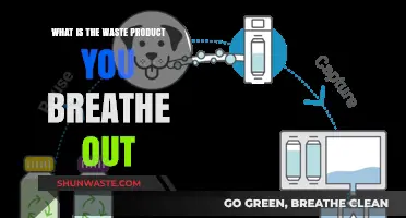 Breathing Out Waste: Understanding the Gas Your Body Exhales