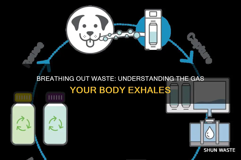 what is the waste product you breathe out