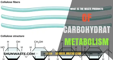 Understanding Carbohydrate Metabolism: Key Waste Products and Their Impact