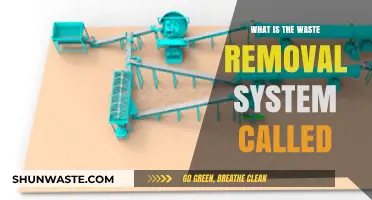 Understanding the Body's Waste Removal System: What Is It Called?