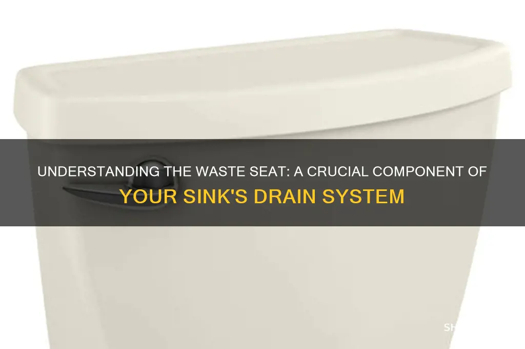 what is the waste seat of a sink