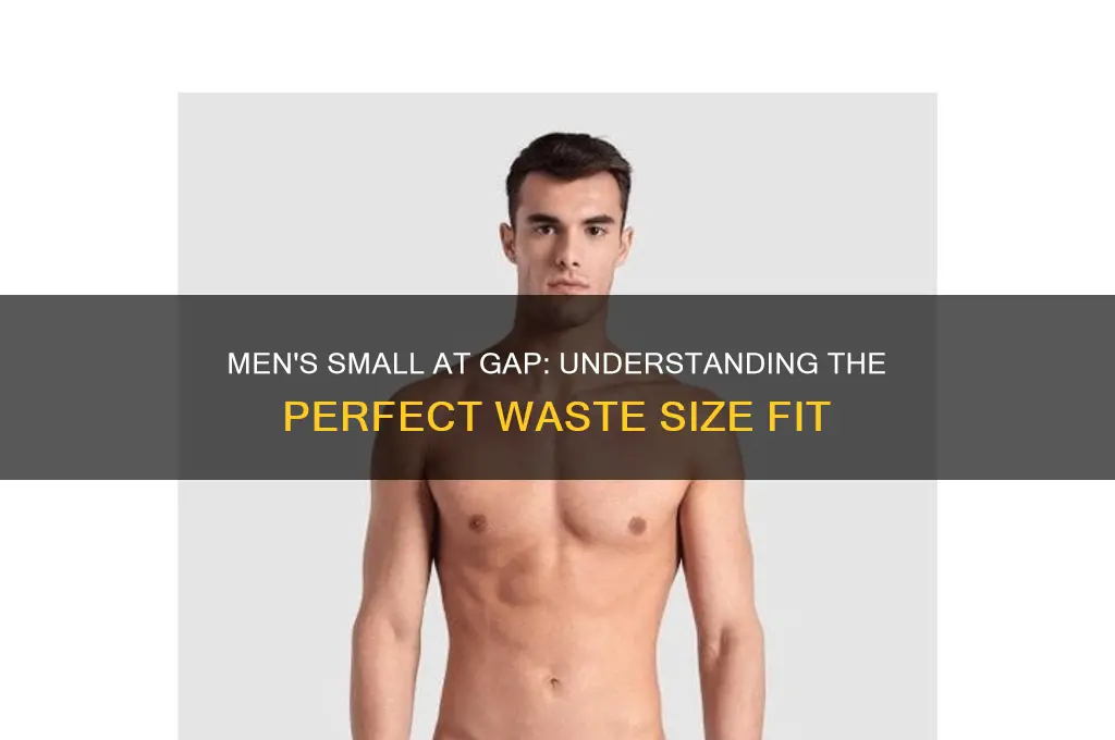 what is the waste size for men