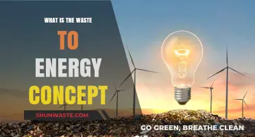 Transforming Trash to Power: Understanding Waste-to-Energy Technology