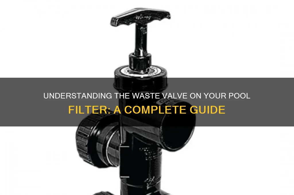 what is the waste valve on pool filter
