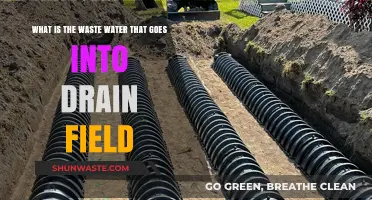 Understanding Drain Field Wastewater: Composition, Treatment, and Environmental Impact