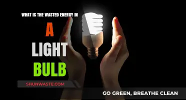 Understanding Energy Loss: The Hidden Wasted Energy in Light Bulbs