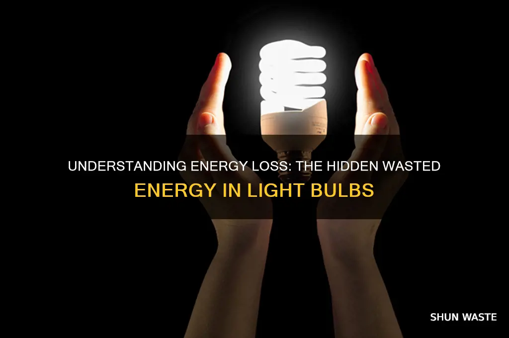 what is the wasted energy in a light bulb