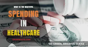 Uncovering Hidden Costs: Tackling Wasteful Spending in Healthcare Systems