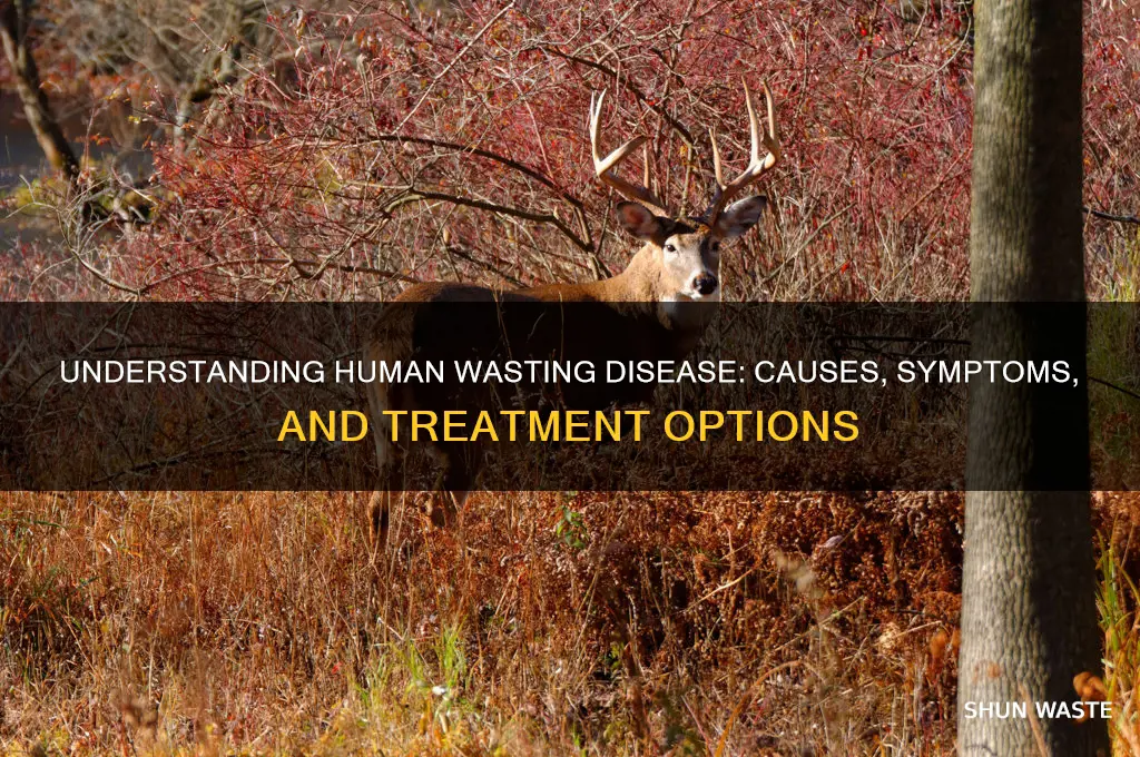 what is the wasting disease in humans