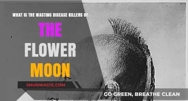 Unveiling the Deadly Wasting Disease Killers of the Flower Moon