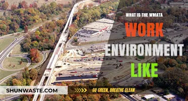 Exploring WMATA's Work Culture: Insights into the Employee Experience