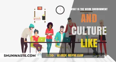 Exploring the Work Environment and Culture: Insights and Experiences