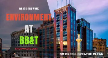 Exploring the BB&T Work Environment: Culture, Benefits, and Employee Experience