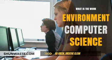 Exploring the Dynamic Work Environment in Computer Science Careers
