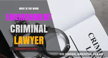 Exploring the High-Stress, Fast-Paced Work Environment of Criminal Lawyers
