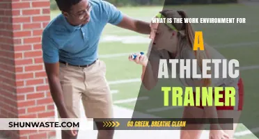 Exploring the Dynamic Work Environment of Athletic Trainers