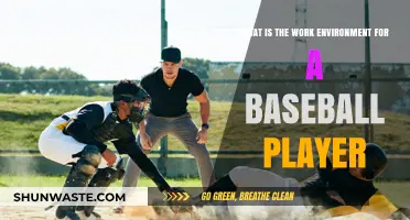 Baseball Player Work Environment: Life on and off the Field