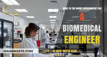 Exploring the Dynamic Work Environment of Biomedical Engineers