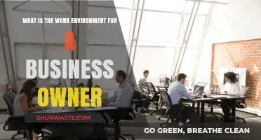 Navigating the Dynamic Work Environment as a Business Owner