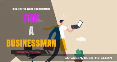 Exploring the Dynamic Work Environment of a Modern Businessman