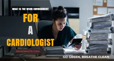 Cardiologist Work Environment: Stress, Team Dynamics, and Patient Care Insights