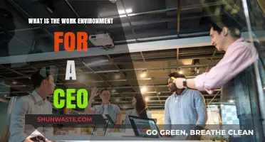 Exploring the High-Pressure, High-Reward Work Environment of a CEO