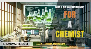 Exploring the Work Environment: A Chemist's Lab, Challenges, and Rewards