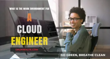 Exploring the Dynamic Work Environment of a Cloud Engineer