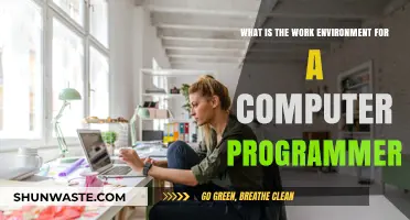 Exploring the Work Environment for Computer Programmers: Culture, Tools, and Challenges