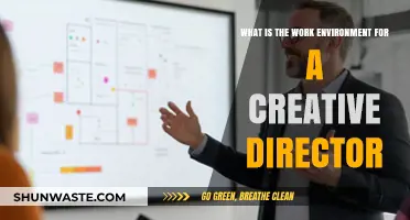 Exploring the Dynamic Work Environment of a Creative Director