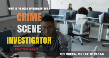 Exploring the Crime Scene Investigator's Work Environment: Challenges and Rewards