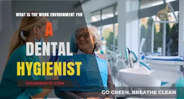 Exploring the Daily Work Environment of a Dental Hygienist