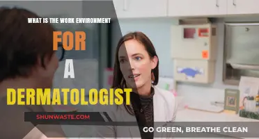 Exploring the Daily Work Environment of a Dermatologist: Insights and Expectations