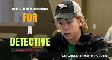 Detective Work Environment: Uncovering the Reality of Crime Investigation