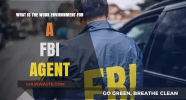 Inside the FBI: Unveiling the Work Environment of an Agent