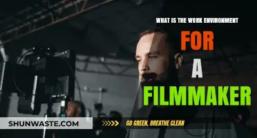 Exploring the Dynamic and Creative Work Environment of a Filmmaker